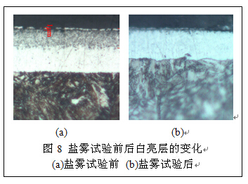 鹽霧試驗白亮層對比