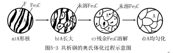 共析鋼奧氏體化轉(zhuǎn)變圖